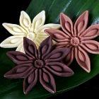 Anise